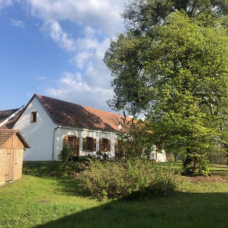 Sonnenhof Apartment Limbach im Burgenland Bagian luar foto