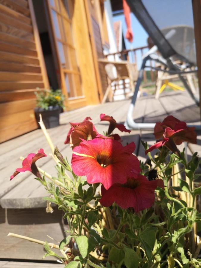 Sonnenhof Apartment Limbach im Burgenland Bagian luar foto
