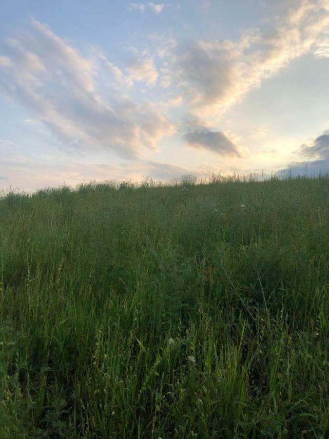 Sonnenhof Apartment Limbach im Burgenland Bagian luar foto